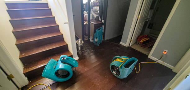 Best 24/7 water damage repair  in Lexington, TX