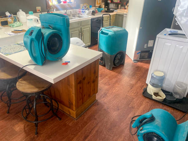 Best Professional water damage repair  in Lexington, TX