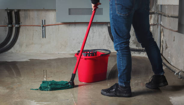 Best Flood restoration services  in Lexington, TX