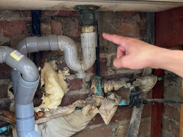 Best Water damage restoration near me  in Lexington, TX